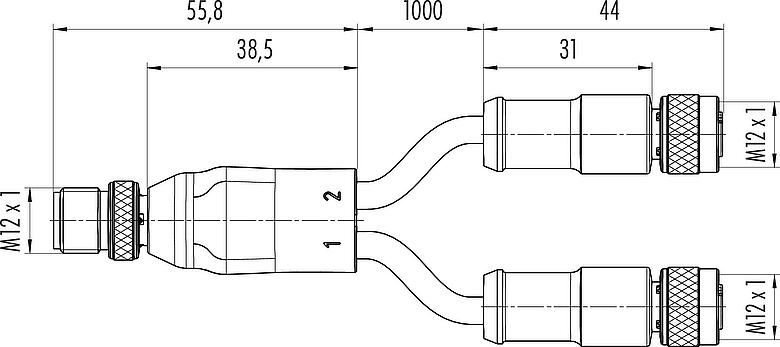Maßzeichnung M12 Kabelsplitter Kabelstecker - 2 Kabeldosen, Polzahl: 4/3, geschirmt, am Kabel angespritzt, IP68, PUR, schwarz, 3 x 0,34 mm², 2 m