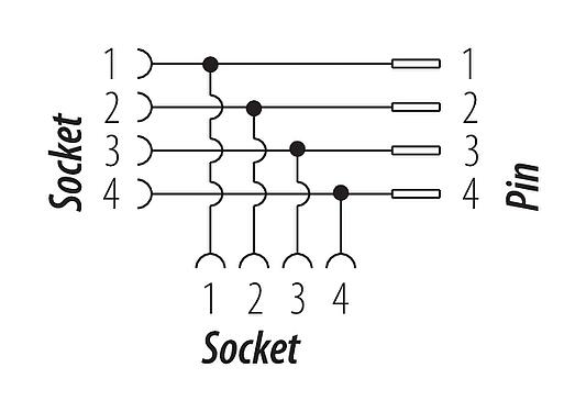 Schémas d’affectation des broches 7/8" Répartiteur double, Contacts: 4, non blindé, IP68