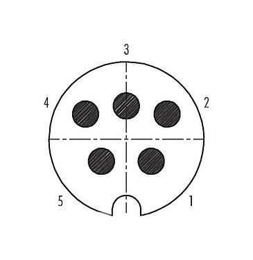 Disposition des contacts (Côté plug-in) 09 0059 00 05 - Baïonnette Connecteur mâle, Contacts: 5, 5,0-8,0 mm, blindable, souder, IP40