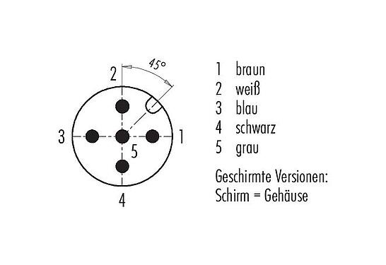 Polbild (Steckseite) M12 Kabelstecker, Polzahl: 5, geschirmt, am Kabel angespritzt, IP67, UL 2238, PVC, grau, 5 x 0,25 mm², 2 m