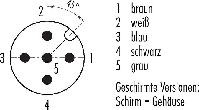 Polbild (Steckseite) M12 Kabelstecker, Polzahl: 5, geschirmt, am Kabel angespritzt, IP67, UL 2238, PVC, grau, 5 x 0,25 mm², 2 m