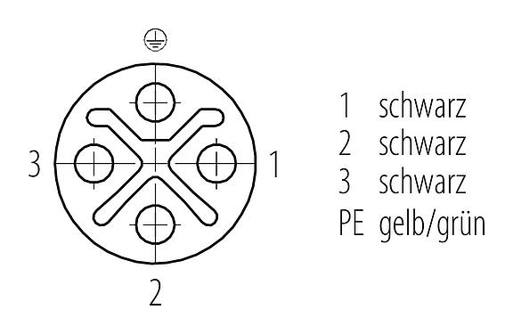 Polbild (Steckseite) M12 Kabeldose, Polzahl: 3+PE, ungeschirmt, am Kabel angespritzt, IP68, UL 2238, PUR, schwarz, 4 x 1,50 mm², 5 m