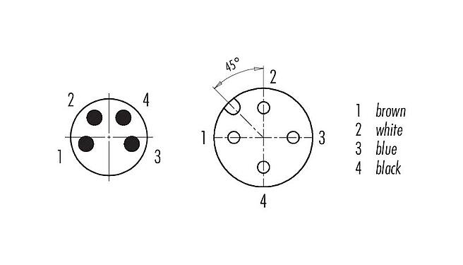 Disposition des contacts (Côté plug-in) 77 3430 3405 50004-0100 - M8 Connecteur mâle - connecteur femelle M12x1, Contacts: 4, non blindé, surmoulé sur le câble, IP67, UL, PUR, noir, 4 x 0,34 mm², 1 m