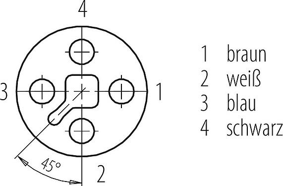 Polbild (Steckseite) M12 Kabeldose, Polzahl: 4, ungeschirmt, am Kabel angespritzt, IP68, UL 2238, PUR, schwarz, 4 x 1,50 mm², 5 m