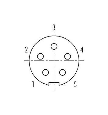 Contact arrangement (Plug-in side) Push Pull Female cable connector, Contacts: 5, 3.5-5.0 mm, shieldable, solder, IP67
