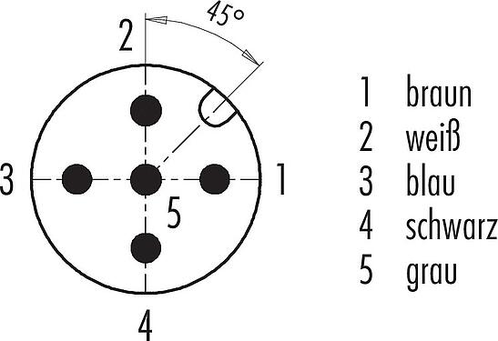 Polbild (Steckseite) M12 Flanschstecker, Polzahl: 5, ungeschirmt, Litzen, IP68, UL 2238, PG 13,5, Frontmontage, vergossen