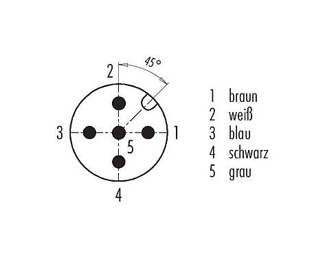 Polbild (Steckseite) M12 Flanschstecker, Polzahl: 5, ungeschirmt, Litzen, IP68/IP69K, M16x1,5, Frontmontage, für Outdoor Anwendungen, UV-Beständig, vergossen