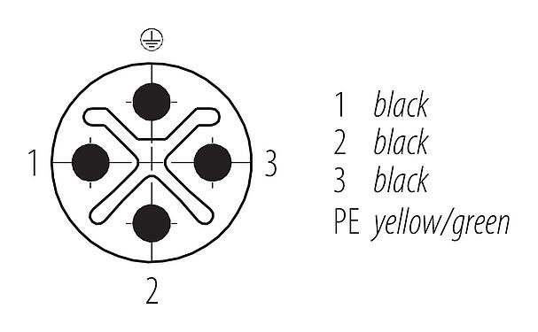 Disposition des contacts (Côté plug-in) M12 Connecteur mâle coudé, Contacts: 3+PE, non blindé, surmoulé sur le câble, IP68, UL, PUR, noir, 4 x 1,50 mm², 5 m