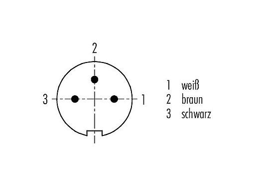 Polbild (Steckseite) M9 Kabelstecker, Polzahl: 3, geschirmt, am Kabel angespritzt, IP67, PUR, schwarz, 5 x 0,25 mm², 5 m