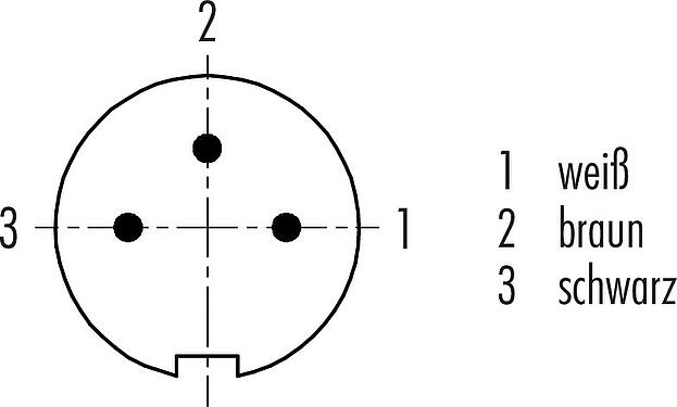 Polbild (Steckseite) M9 Kabelstecker, Polzahl: 3, geschirmt, am Kabel angespritzt, IP67, PUR, schwarz, 5 x 0,25 mm², 2 m