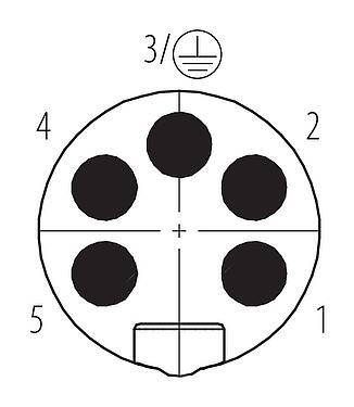 Disposition des contacts (Côté plug-in) 7/8" Connecteur mâle, Contacts: 4+PE, 6,0-8,0 mm, non blindé, pince à visser, IP67, UL 2238, VDE