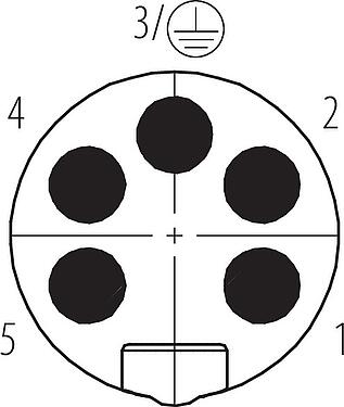 Pólus ábra (csatlakozó oldal) 7/8" Kábelre szerelhető csatlakozó, : 4+PE, 6,0-8,0 mm, árnyékolatlan, csavaros bilincs, IP67, UL 2238, VDE