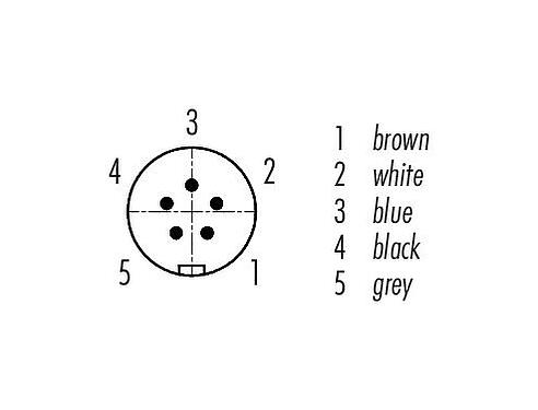 Contact arrangement (Plug-in side) Snap-In Male cable connector, Contacts: 5, unshielded, moulded on the cable, IP67, UL 2238, PUR, black, 5 x 0.25 mm², 2 m