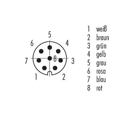 Polbild (Steckseite) M8 Kabelstecker, Polzahl: 8, ungeschirmt, am Kabel angespritzt, IP67/IP69K, UL 2238, PVC, grau, 8 x 0,25 mm², 2 m