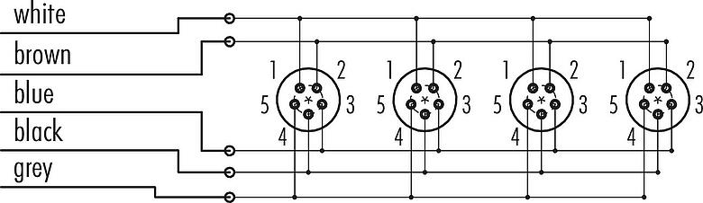 Schémas d’affectation des broches Snap-In Distributeur 4 voies, Contacts: 5, non blindé, surmoulé sur le câble, IP67, 5 x 0.75 mm²