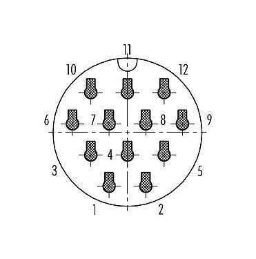 Polbild (Steckseite) Bajonett Kabelstecker, Polzahl: 12, 7,0-13,0 mm, ungeschirmt, crimpen (Crimpkontakte müssen separat bestellt werden), IP68/IP69K, UL 2238, VDE, UV-Beständig