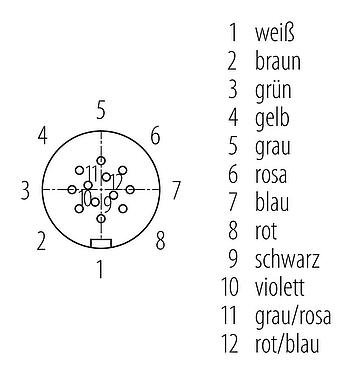 Polbild (Steckseite) Snap-In Kabeldose, Polzahl: 12, ungeschirmt, am Kabel angespritzt, IP67, UL 2238, PUR, schwarz, 12 x 0,25 mm², 2 m