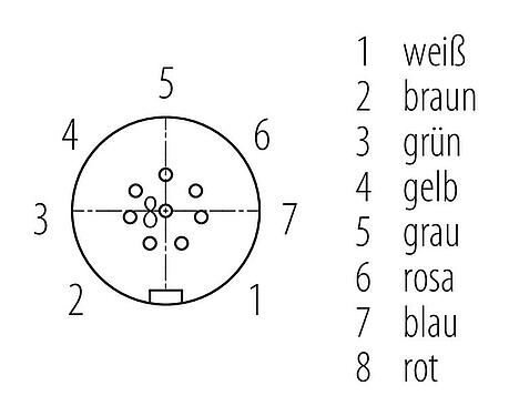 Polbild (Steckseite) Snap-In Kabeldose, Polzahl: 8, ungeschirmt, am Kabel angespritzt, IP67, UL 2238, PUR, schwarz, 8 x 0,25 mm², 2 m