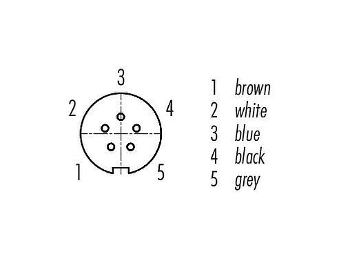 Contactconfiguratie (Insteekbereik) Snap-In Kabeldoos, aantal polen: 5, onafgeschermd, aan de kabel aangegoten, IP67, UL 2238, PUR, zwart, 5 x 0,25 mm², 2 m