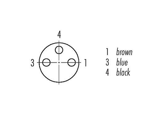 Pólus ábra (csatlakozó oldal) M8 kábel aljzat, : 3, 2,5-5,0 mm, árnyékolatlan, I.D.C, IP67, UL