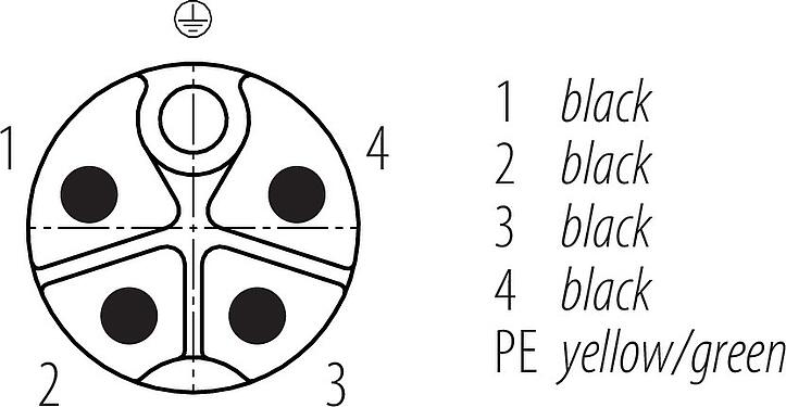 Contactconfiguratie (Insteekbereik) M12 Kabelstekker, aantal polen: 4+PE, onafgeschermd, aan de kabel aangegoten, IP68, UL 2238, PUR, zwart, 5 x 1,50 mm², 5 m