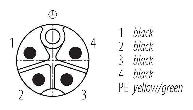 Contactconfiguratie (Insteekbereik) M12 Kabelstekker, aantal polen: 4+PE, onafgeschermd, aan de kabel aangegoten, IP68, UL 2238, PUR, zwart, 5 x 2,50 mm², 2 m