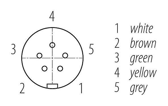 觸點排列 Snap-in 快插 直頭孔頭電纜連接器, : 5, 非遮罩, 預鑄電纜, IP67, UL 2238, PUR, 黑色, 5x0.75mm², 2m