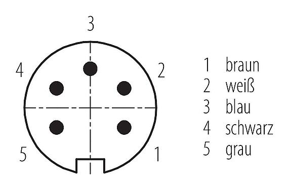 Polbild (Steckseite) M16 Kabelstecker, Polzahl: 5, ungeschirmt, am Kabel angespritzt, IP67, PUR, schwarz, 5 x 0,34 mm², 5 m