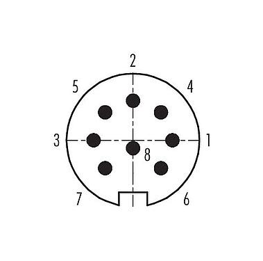 コンタクト配列(接続側) プッシュ・プル オスコネクタケーブル, 極数: 8, 4.0-8.0mm, シールド可能, はんだ, IP67