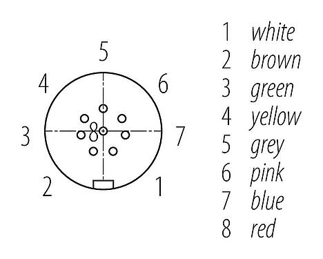 觸點排列 Snap-in 快插 直頭孔頭電纜連接器, : 8, 非遮罩, 預鑄電纜, IP67, UL 2238, PUR, 黑色, 8x0.25mm², 2m