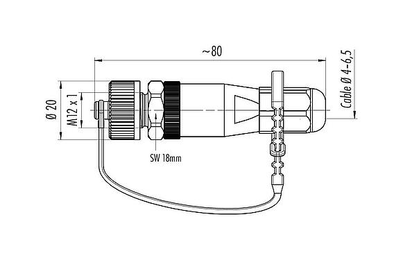 Scale drawing M12 Male cable connector, Contacts: 5, 4.0-6.5 mm, unshielded, screw clamp, IP68/IP69K, for outdoor, UV resistant