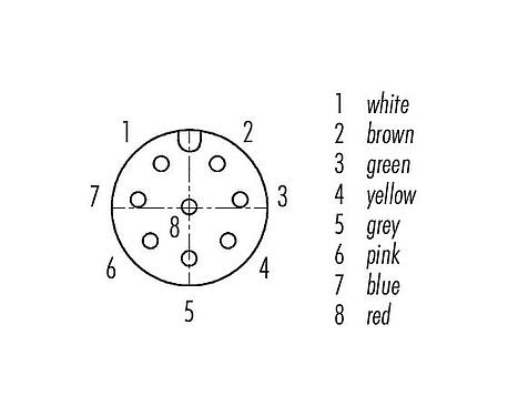 Pólus ábra (csatlakozó oldal) M12 négyzet alakú-panelre szerelhető foglalat, : 8, árnyékolatlan, sodrott vezeték, IP40, UL 2238, M3 (4x), elülső rögzítés