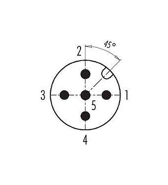 Polbild (Steckseite) M12 Kabelstecker, Polzahl: 5, 6,0-8,0 mm, ungeschirmt, schraubklemm, IP67, UL 2238