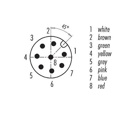 Pólus ábra (csatlakozó oldal) M12 panelre szerelhető csatlakozó, : 8, árnyékolatlan, sodrott vezeték, IP68, UL 2238, M12x1,0, hátsó panel felszerelés