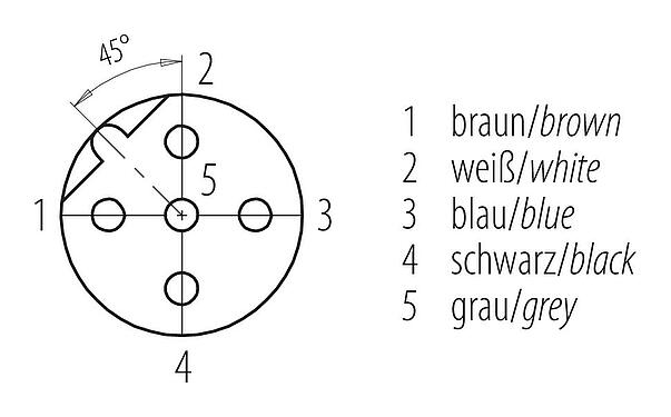 Polbild (Steckseite) M12 Flanschdose, Polzahl: 5, ungeschirmt, Litzen, IP68, UL 2238, PG 9, Rückwandmontage