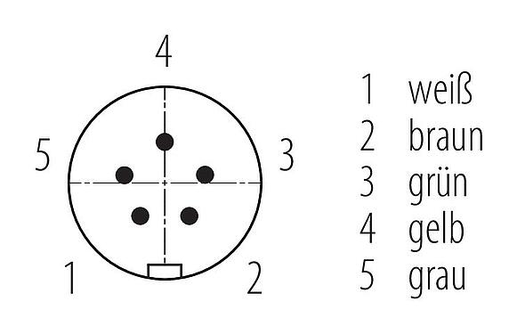 Polbild (Steckseite) Snap-In Kabelstecker, Polzahl: 5, ungeschirmt, am Kabel angespritzt, IP67, UL 2238, PUR, schwarz, 5 x 0,75 mm², 2 m