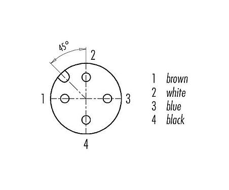 Contact arrangement (Plug-in side) M12 Female panel mount connector, Contacts: 4, unshielded, single wires, IP69K, M16x1.5, Front mounting, for outdoor, UV resistant, potted
