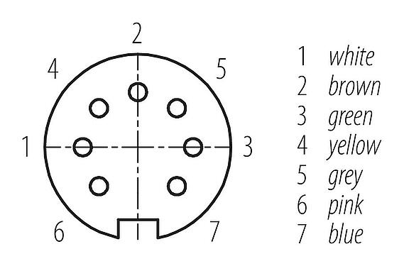 Contact arrangement (Plug-in side) M16 Female cable connector, Contacts: 7 (07-b), unshielded, moulded on the cable, IP67, PUR, black, 7 x 0.25 mm², 2 m