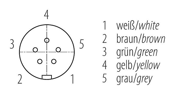 Uspořádání kontaktů (strana zástrčky) Snap-In Úhlový box, : 5, 4,0-6,0 mm, nestíněný, pájka, IP67