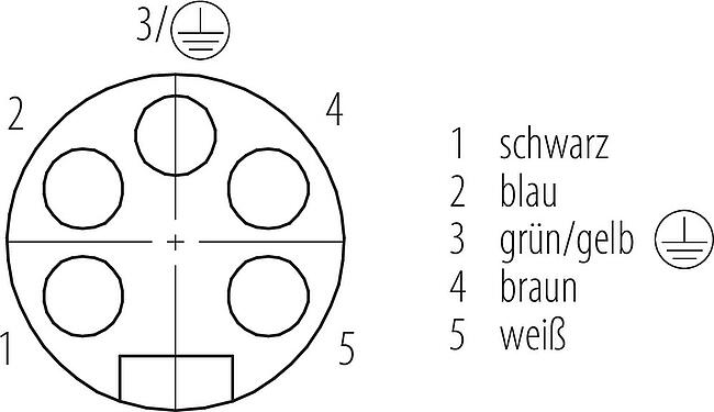 Polbild (Steckseite) 7/8" Flanschdose, Polzahl: 4+PE, ungeschirmt, Litzen, IP68, UL 2238, VDE, PG 11, Frontmontage, vergossen