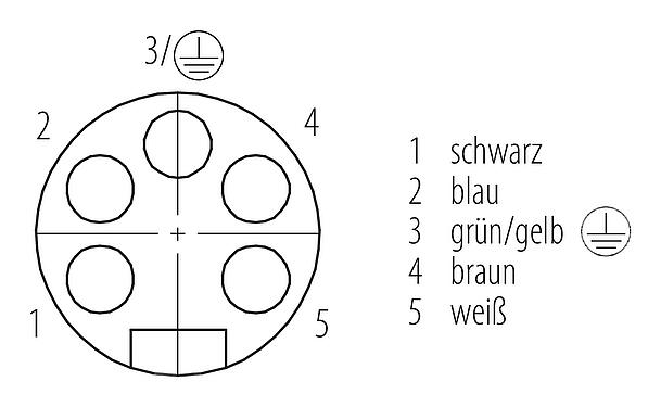 Polbild (Steckseite) 7/8" Flanschdose, Polzahl: 4+PE, ungeschirmt, Litzen, IP68, UL 2238, VDE, PG 11, Frontmontage