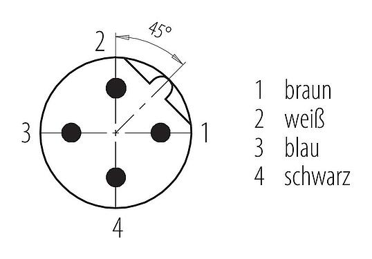 Polbild (Steckseite) M12 Kabelstecker, Polzahl: 4, ungeschirmt, am Kabel angespritzt, IP68/IP69K, UL 2238, PUR, schwarz, 4 x 0,34 mm², 5 m