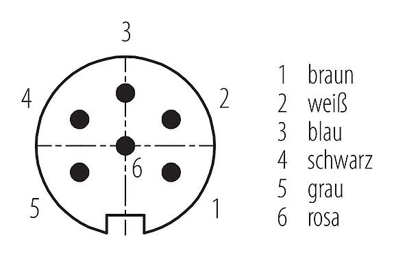 Polbild (Steckseite) M16 Kabelstecker, Polzahl: 6, ungeschirmt, am Kabel angespritzt, IP67, PUR, schwarz, 6 x 0,25 mm², 2 m