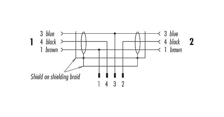 Pin assignment plans M12 Male cable splitter - 2 female cable connectors, Contacts: 4/3, shielded, moulded on the cable, IP68, PUR, black, 3 x 0.34 mm², 1 m